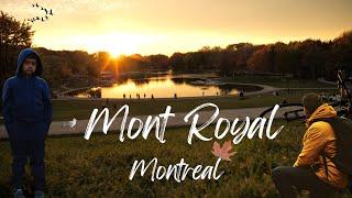 Mont Royal Montreal / Things to see