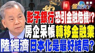 影子銀行恐引發另類金融危機！？房企呆帳轉移金融業 中國經濟日本化是最好結局？【精華】