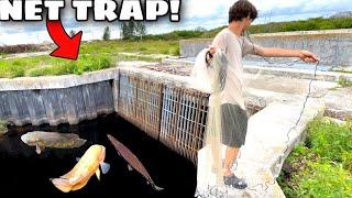 ABANDONED SPILLWAY Net Trap Catches EXOTIC Fish In EVERGLADES!!