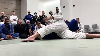 Roger Gracie Teaches Side Control