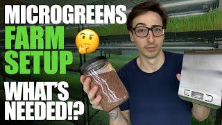 Microgreens Farm Setup: What's Needed?!