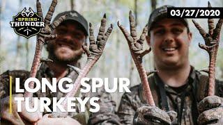 Long Spur Turkeys | GA Double Turkey Hunt | Riley Green and Tyler Jordan