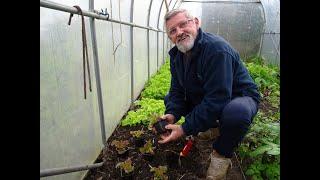 le 13/10/2024:Que peut on encore faire au potager en automne ?bilan de la saison etc...