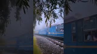 winter morning vibe ️ #shorts #reels #2023 #remember  #nature #foggy #train #december #cold