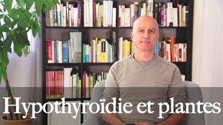 Hypothyroïdie, Hashimoto : quelles plantes utiliser ?