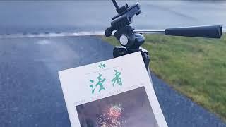 5分钟标准普通话朗读《读者文摘》一只糯米鸡 作者：刘荒田 朗读：SUSAN