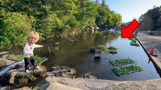 I Caught a Lot of Fish by Doing Only "Prohibited Things" at the Japanese Fishing Pond...