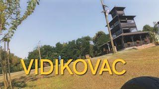 VIDIKOVAC