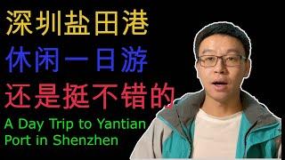 深圳盐田港一日游，深圳也可以慢下来｜ A Day Trip to Yantian Port in Shenzhen: Unwinding the Pace in the Bustling City