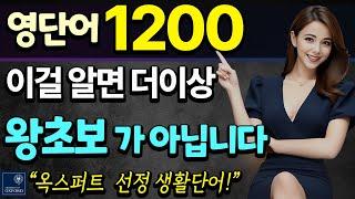 영어단어 1200개 | 옥스퍼드 대학 추천 (중등 필수 영단어 수준) |기초 영어 회화 영단어 | 라디오 처럼 듣기만 하세요