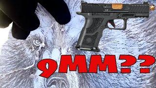 9mm May Be The Best Round to Carry in Bear Country: Here's Why