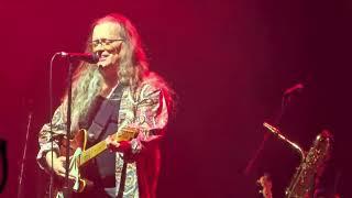 Violent Femmes - American Music - Live - Palais Theatre, St Kilda - 05/12/24