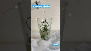 یه نوشیدنی سالم_ساده_آسان کریسمسی ،،عطر خوش رزماری تو شبای سرد زمستون،انرژی زا ،خوشمزه،مقوی،آموزشی