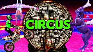 Circus Show 2023 Spectacular | Motorcycles in Globe  Arabian Horses  Clowns  and Much More...