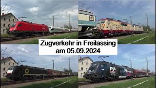 U.a. 2x 111-Tandem, Roncalli-Zug, geschleppter ICE, Werbe- Tauri in Freilassing am 05.09.2024 - FHD