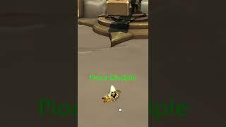 The War Within : The Pious Disciple in Hallowfall #worldofwarcraft