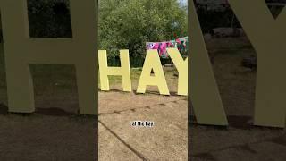 Hay festival vlog and shopping haul! #booktubetbr #books #bookbites #booktube #vlog #haul