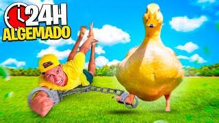 24 HORAS ALGEMADO COM MEU PATO DE ESTIMAÇÃO *sobrevivemos ?