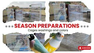 2025 Breeding Season Preparations Start  || Cages Cleaning & Colouring Brand New Breeding Cages