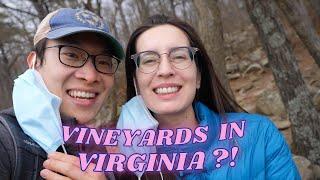 Exploring Wine Country in Northern Virginia | Day Trip to Leesburg, VA!!