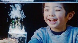 Nitto実験動画「TEMISH™ 通す・通さない篇」 / Nitto experiment video: “TEMISH™: Handmade Aquarium”