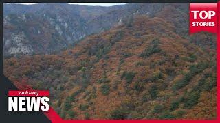 Autumn leaves blast vibrant colors at Seoraksan Mountain in S. Korea