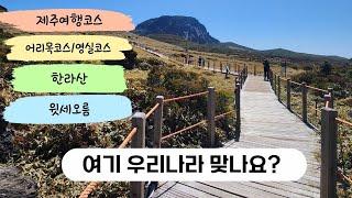 영실코스-윗세오름-어리목코스 /제주도여행 감성코스 4시간코스 /영상보고 가세요/흔한 맛집,관광지,해안코스