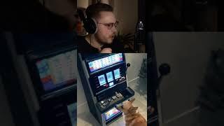 ohnePixel as a dog