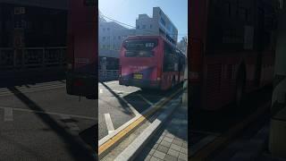 부산급행버스 1002번 빅버스 도색