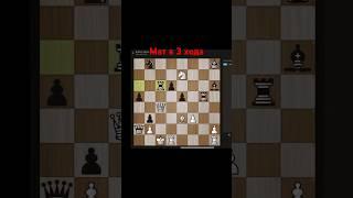 Мат в 3 хода. Отрывок занятия. #chess #chess777 #шахматы #обучениедетей