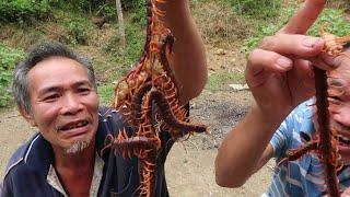 survival : centipede salad