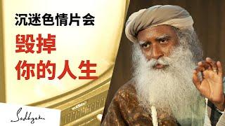 沉迷色情片会毁掉你的人生 | Sadhguru 萨古鲁