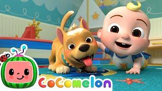 Pet Care Song | CoComelon Nursery Rhymes & Kids Songs