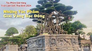 Những Tác Phẩm Giải Vàng Bạc Đồng Triển Lãm SVC Thái Bình