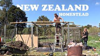 Another structure up on our New Zealand Homestead (vlog)