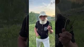 Зачем мне этот ваш огород?!  #здоровыйобразжизни #огород #дачники #фермер #природа