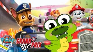 Crocky Plays with the Paw Patrol Mighty Pups - Paw Patrol Grand Prix