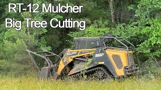 Big tree Finished In 5 Minutes | ASV RT-120 Forestry Mulcher Real time Review | Machinery Review