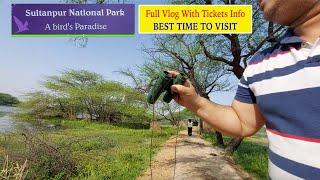 Sultanpur National Park Gurgaon | Sultanpur Bird Sanctuary - Open or Closed , Best Time To Visit