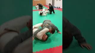 Tribe Jiujitsu Pordenone: countering half guard pass #bjj #bjjpordenone