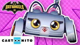 Kitty legjobb pillanatai | Batwheels legjobb pillanatok | Cartoonito