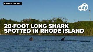 SEE IT: 20-foot-long shark spotted off Block Island in Rhode Island