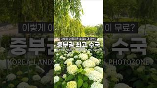 6월 중부지방 최고의 여행지 추천