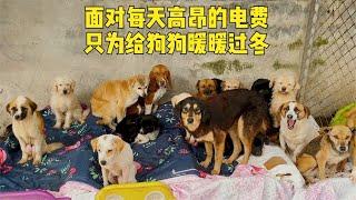 爲了狗狗能保暖過冬，每月耗資2000多元電費，日常開支負擔太重了