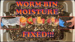 How To Retain Moisture In A Worm Bin | Vermicompost Worm Farm