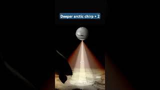 Deeper chirp +2 arctic #carp #carps #fishing #carpfishing #fox  #carpfishinglife #fish #carpy