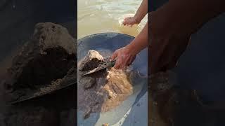 gold prospecting for beginners.