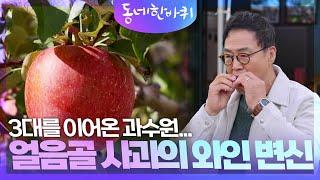 3대를 이어온 과수원... 얼음골 사과의 와인 변신 [동네 한 바퀴] | KBS 241130 방송