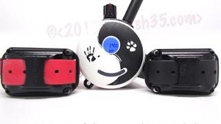 E-Collar Technologies Mini Zen Educator 2 Dog