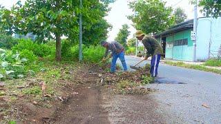 Volunteering Transforms the Sidewalk Landscape and Makes Everyone Amazed